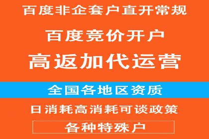 百度推广策略：案例分析如何实现转化